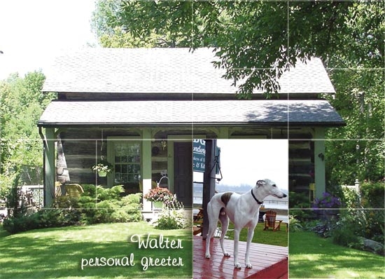 Muskoka Cottage with Walter the dog as your personal greeter